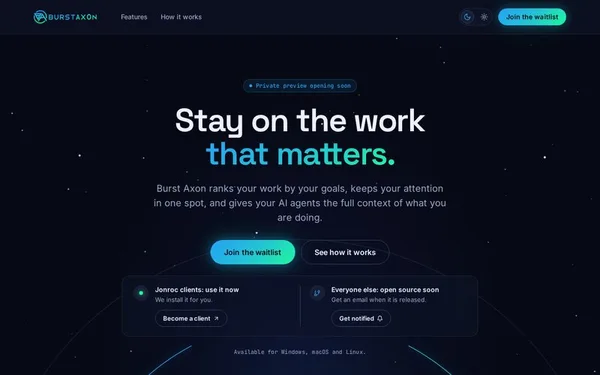 Screenshot of Burst Axon website